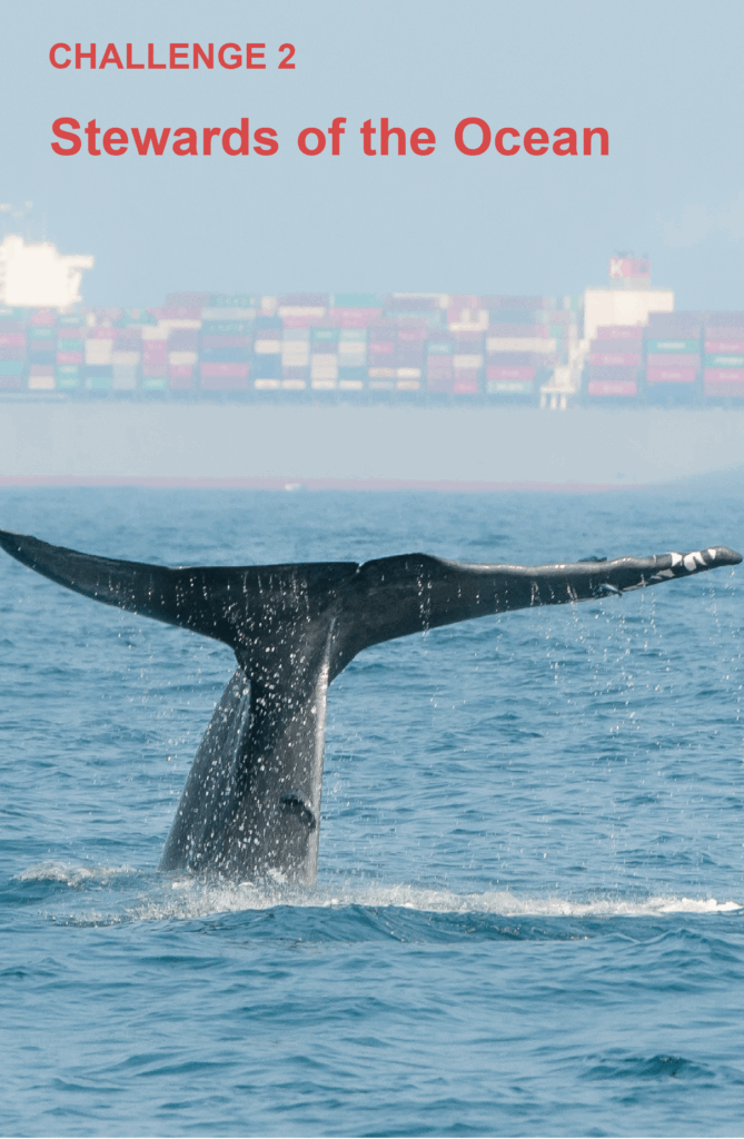 Challenge 2 Stewards of the Ocean